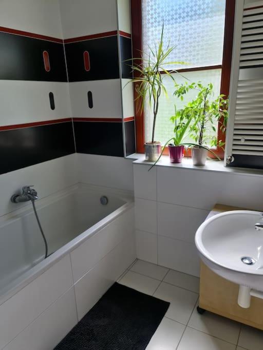 Comfortable Apartment! Prague Extérieur photo